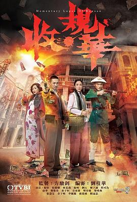 收规华粤语第19集