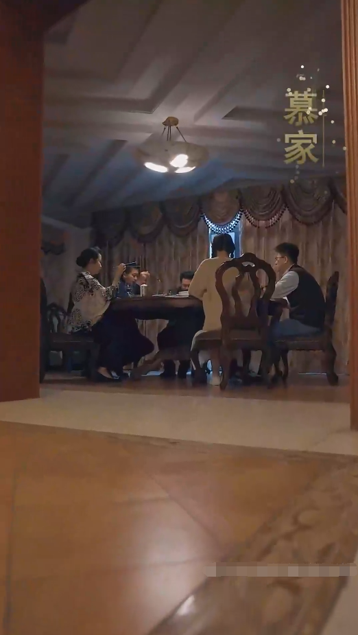 我成了段总的腹黑女保镖第39集