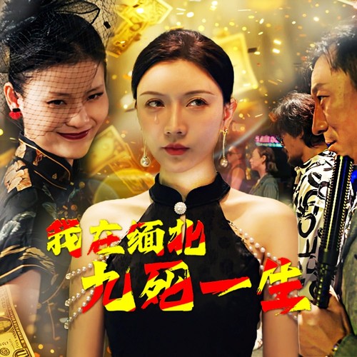 我在缅北九死一生第35集