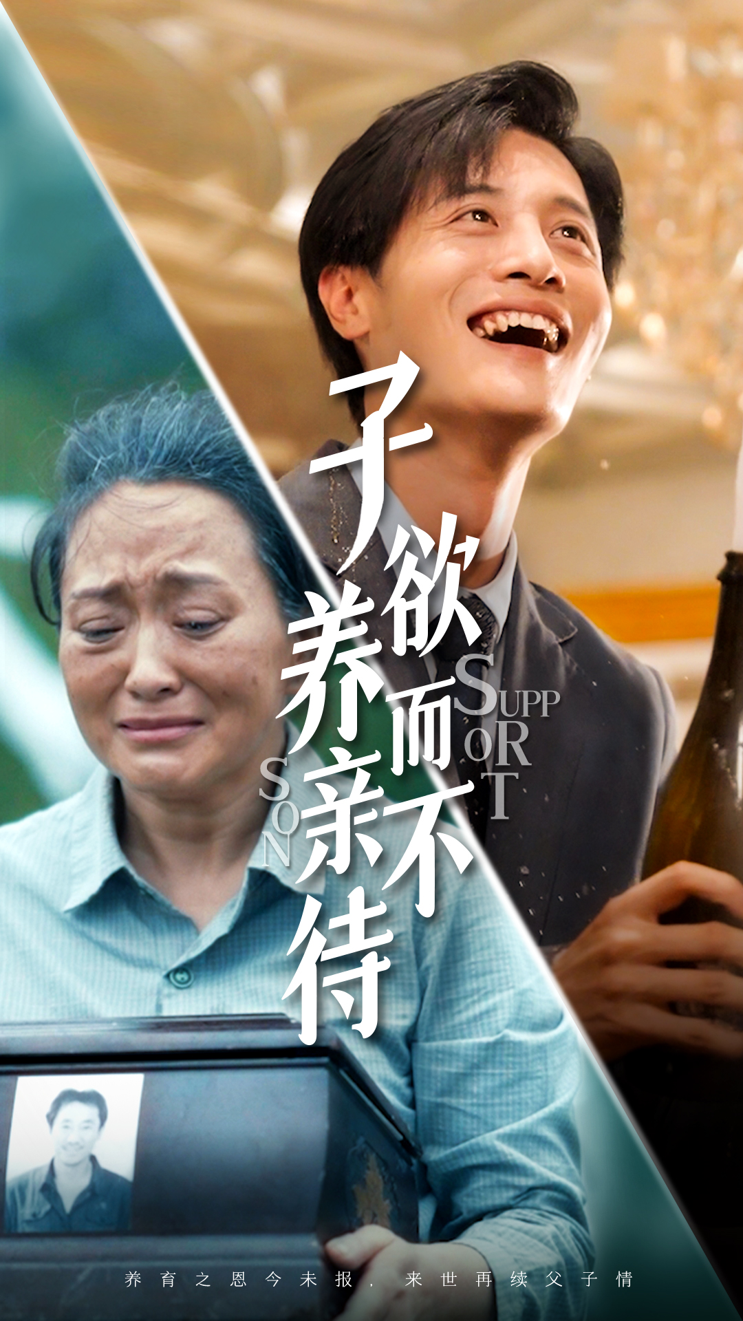 子欲养而亲不待第09集