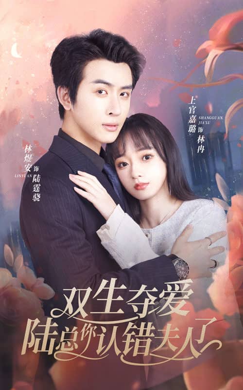 双生夺爱陆总你认错夫人了第1集