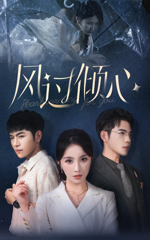 风过倾心第27集