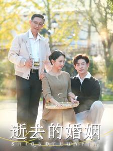 逝去的婚姻第39集