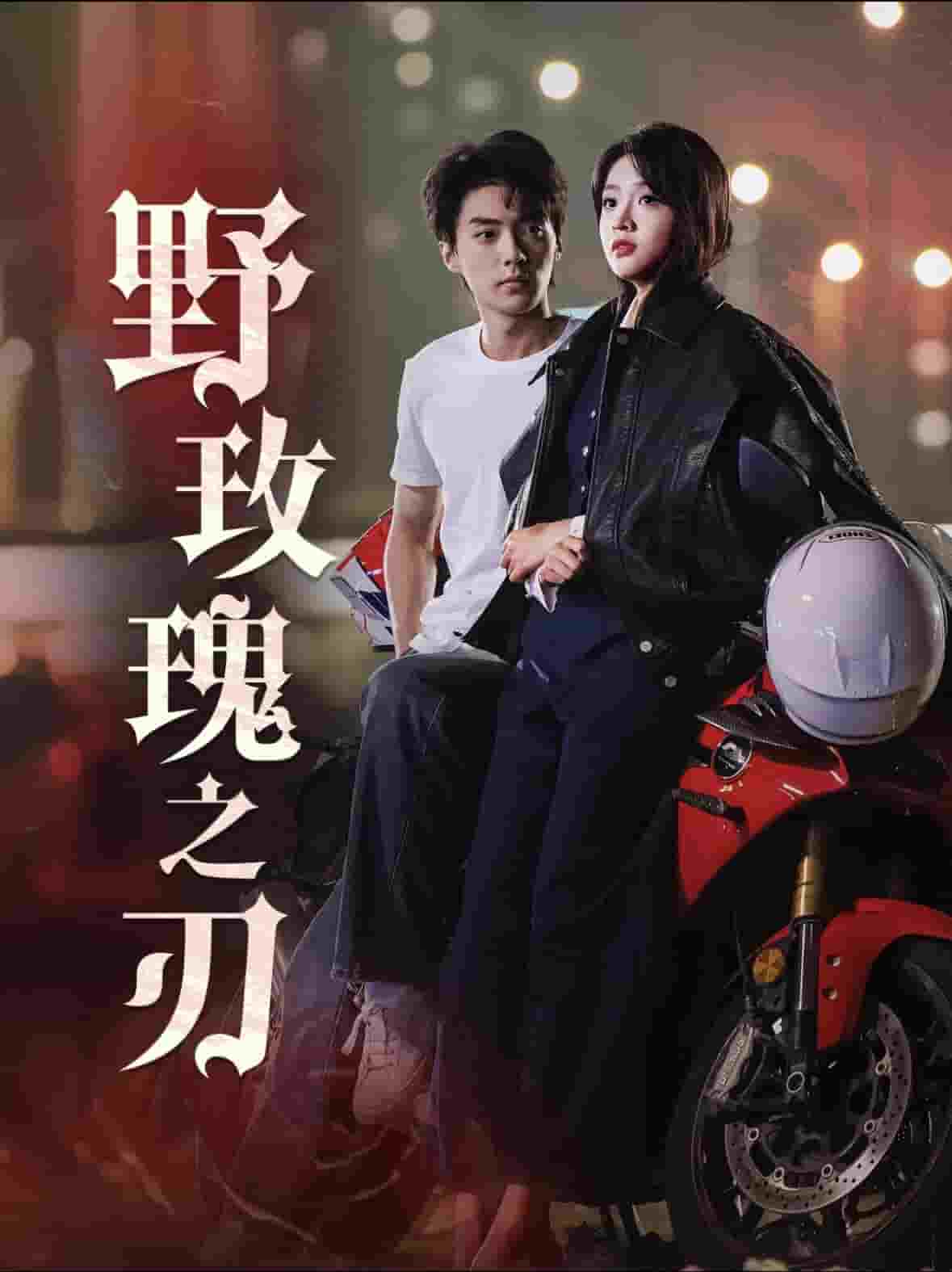 野玫瑰之刃第4集