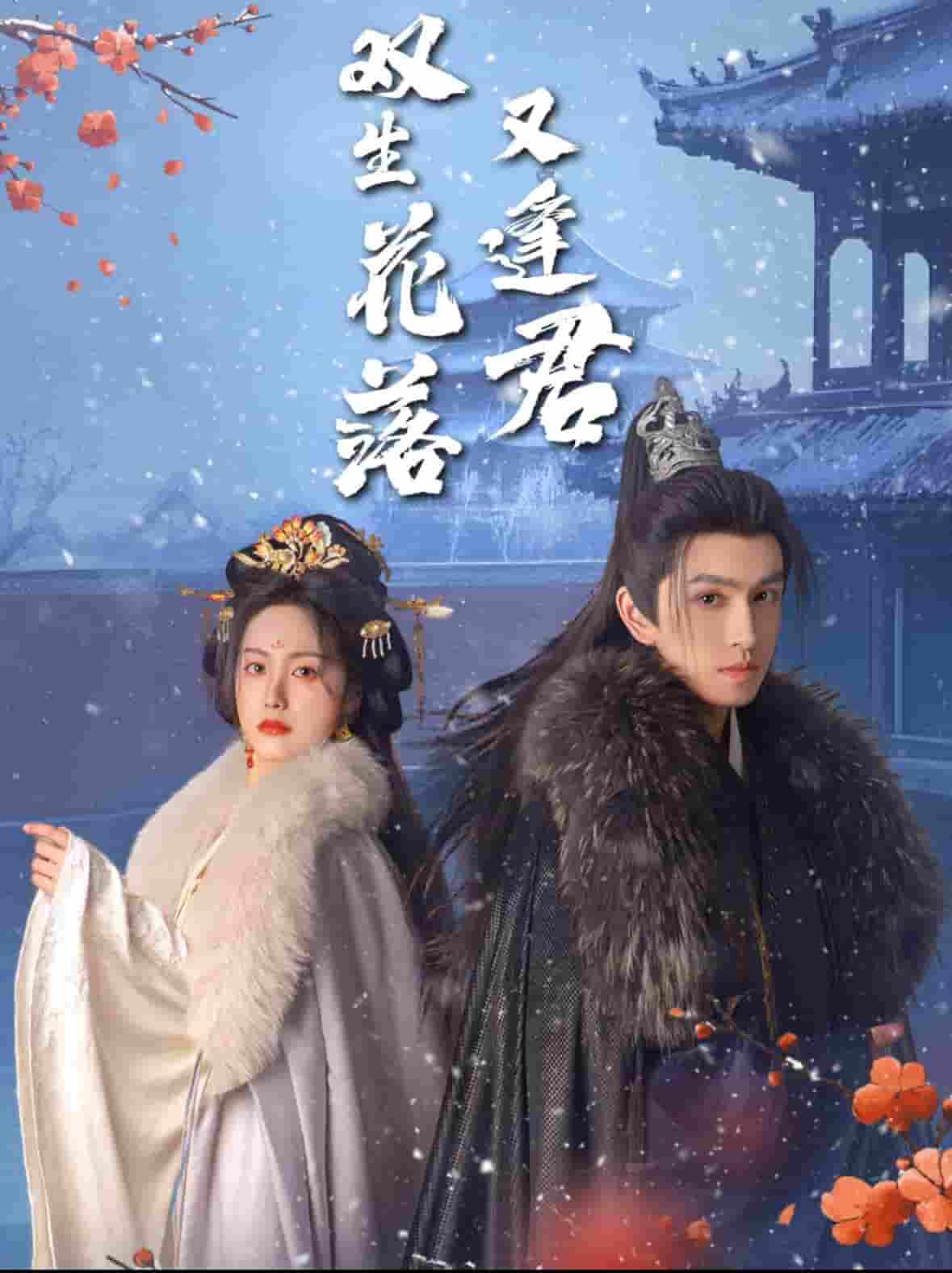 双生花落又逢君第39集