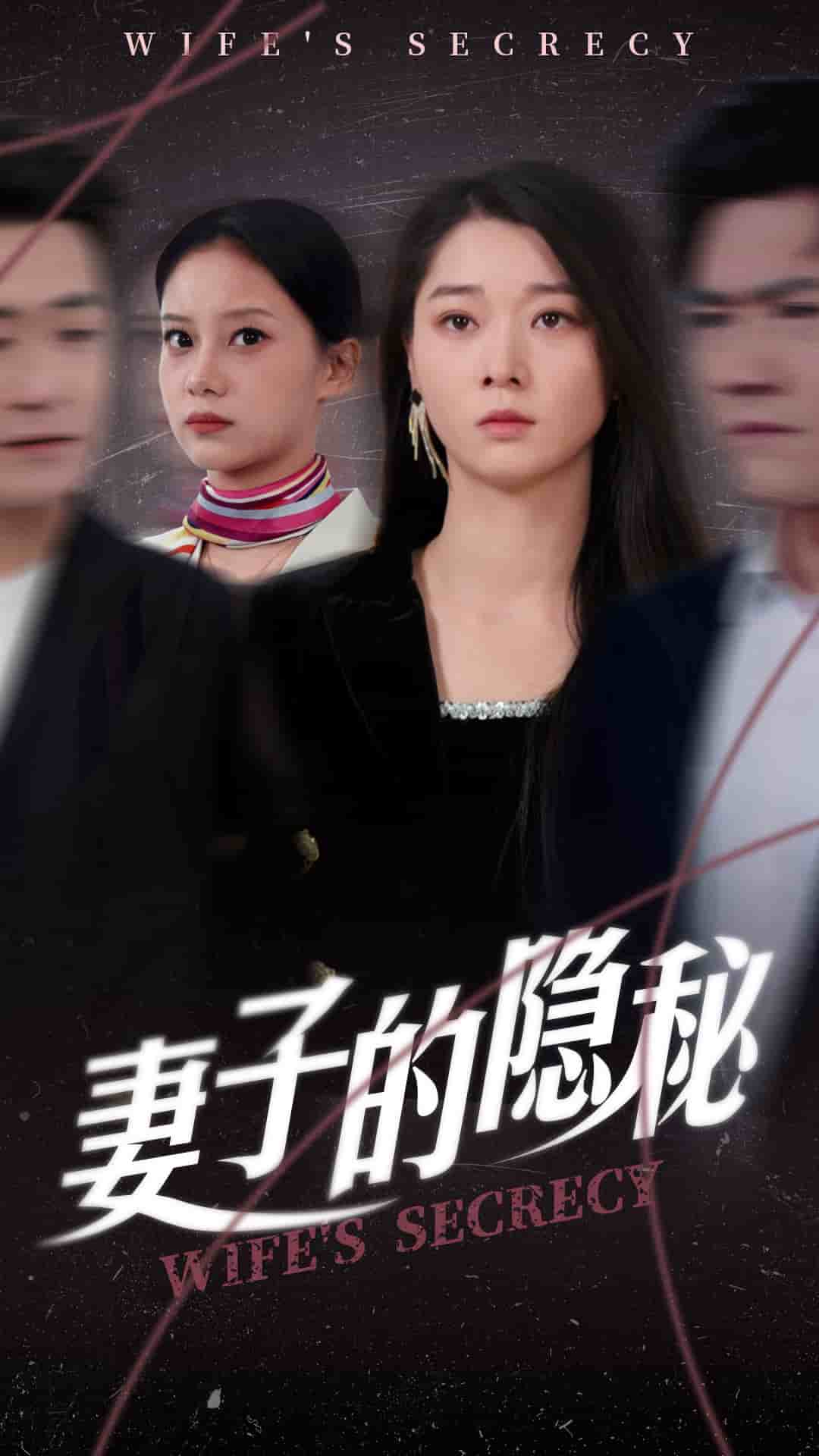 妻子的隐秘第11集