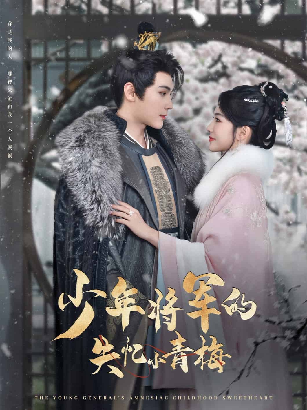 少年将军的失忆小青梅第10集