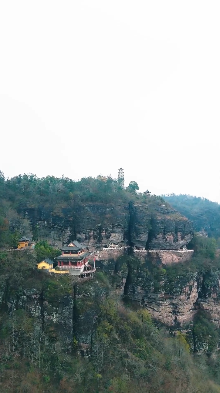 功夫萌宝神算爹(全集)